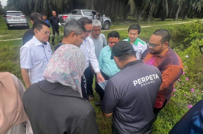 MESYUARAT DAN TINJAUAN TAPAK CADANGAN PEMBANGUNAN TANAMAN PADI DI TANAH MILIK KDYMM SULTAN PAHANG