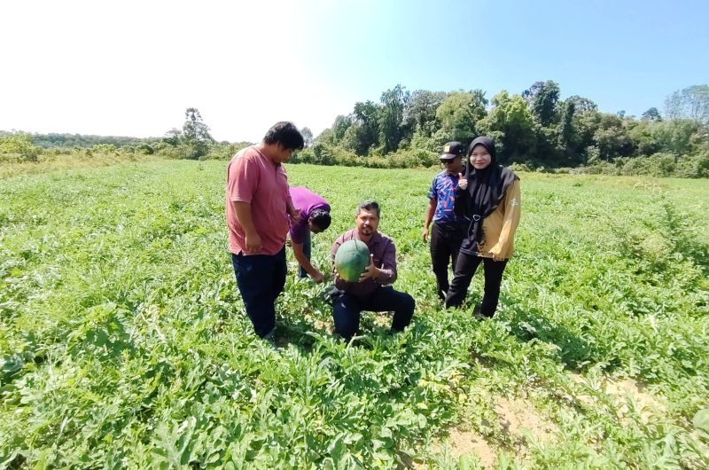 LAWATAN PENGARAH PERTANIAN PAHANG KE PROJEK TEMBIKAI KG UBAI, KUANTAN