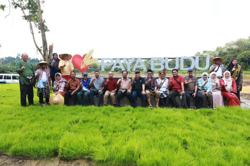 PROGRAM LEMBARAN BARU 2026 PADI KAMPUNG BUDU PACU PEMBANGUNAN PERTANIAN SETEMPAT