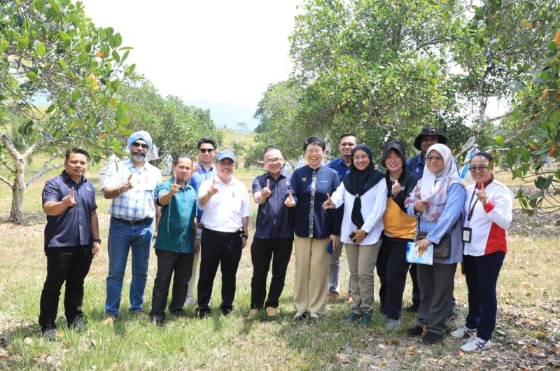 LAWATAN KERJA & PROGRAM HARI LADANG TKPM LANCHANG DAN PUSAT PERTANIAN LANCHANG, TEMERLOH