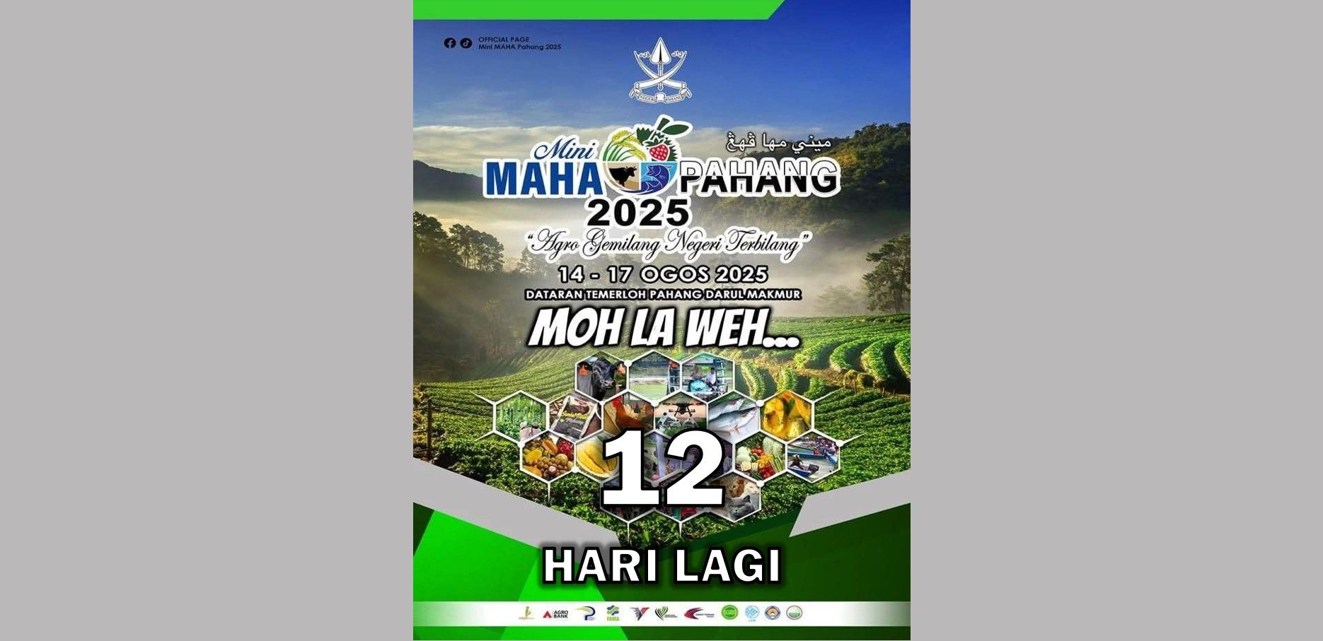 12 HARI LAGI MINI MAHA