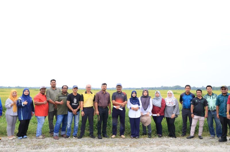 LAWATAN PENGARAH PERTANIAN NEGERI PAHANG KE PROJEK TANAMAN PADI PEKAN