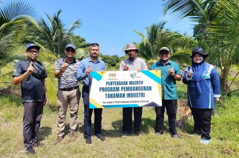 LAWATAN KERJA PENGARAH PERTANIAN NEGERI PAHANG KE PROJEK PERTANIAN DAERAH PEKAN